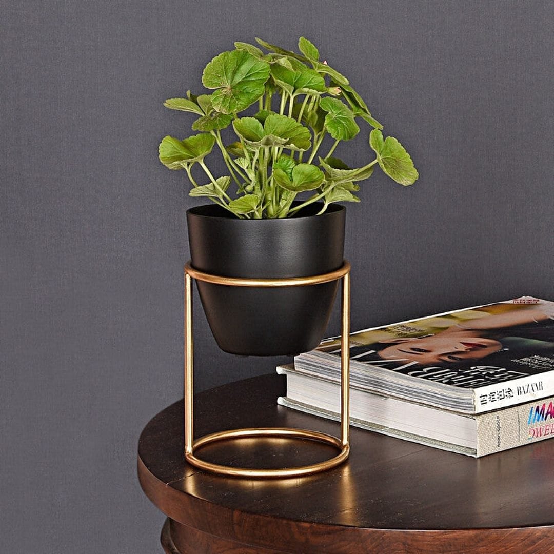 Elegant Black Planter with Gold Stand