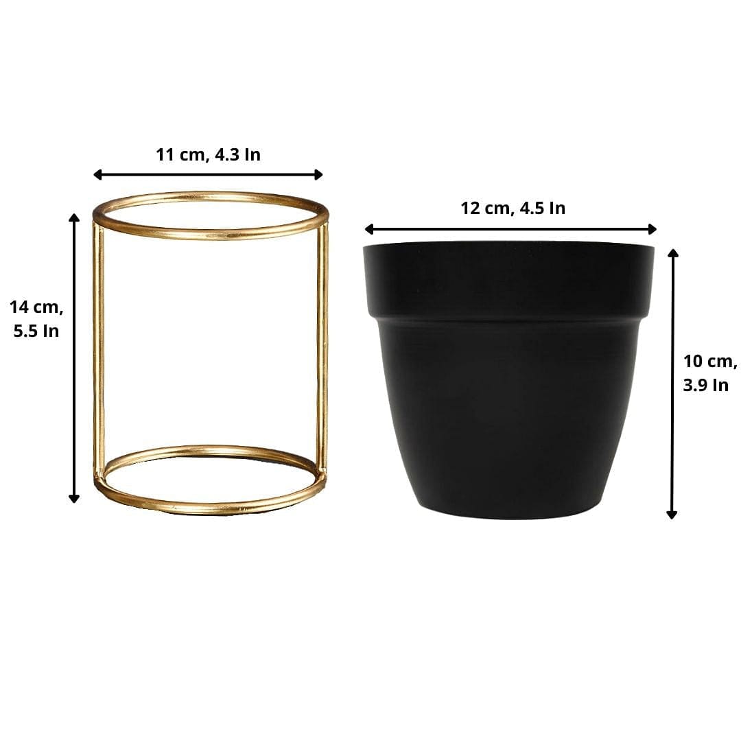Elegant Black Planter with Gold Stand - Image 2